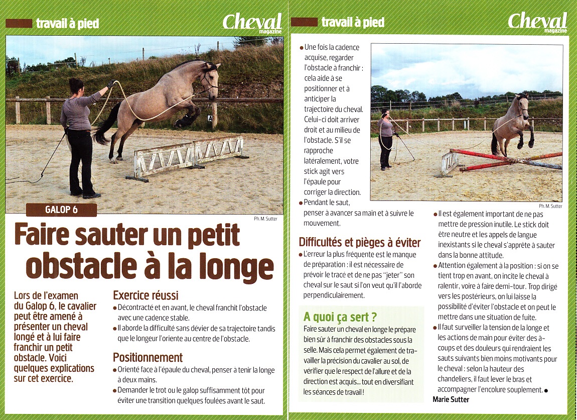 Sauter gros - Cheval Magazine