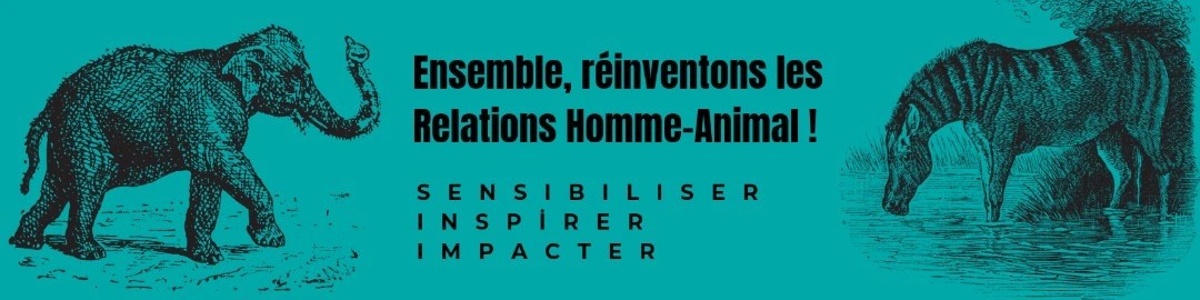 bannière